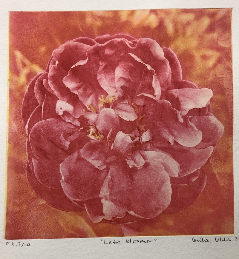 Late Bloomer av Cecilia Uhlin